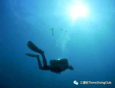 全民烧脑3去广告版